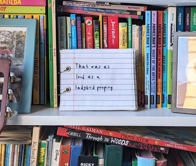 A picture of a fabric book with the saying "that was as loud as a ladybird popping" stitched on it, perched on a children's bookshelf.